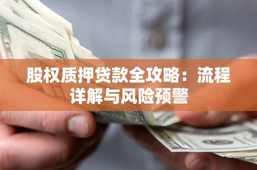 武汉股权质押贷款全攻略：流程详解与风险预警