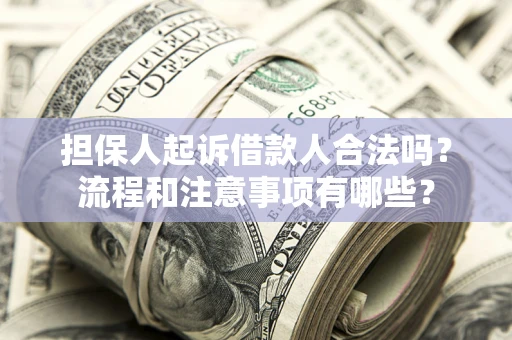 武汉担保人起诉借款人合法吗？流程和注意事项有哪些？