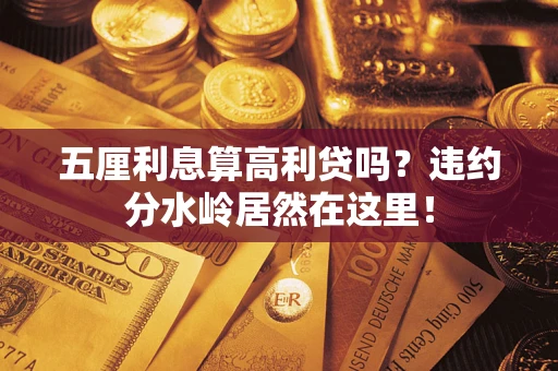 武汉五厘利息算高利贷吗？违约分水岭居然在这里！