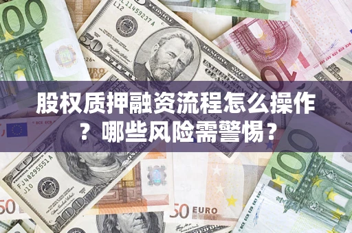 武汉股权质押融资流程怎么操作？哪些风险需警惕？