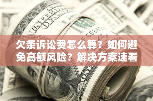 武汉欠条诉讼费怎么算？如何避免高额风险？解决方案速看！