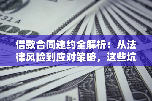 武汉借款合同违约全解析：从法律风险到应对策略，这些坑别再踩！