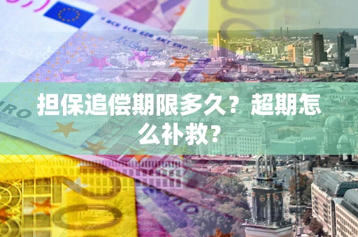 武汉担保追偿期限多久？超期怎么补救？