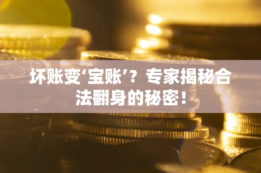 武汉坏账变‘宝账’？专家揭秘合法翻身的秘密！