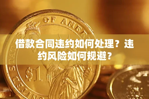 武汉借款合同违约如何处理？违约风险如何规避？