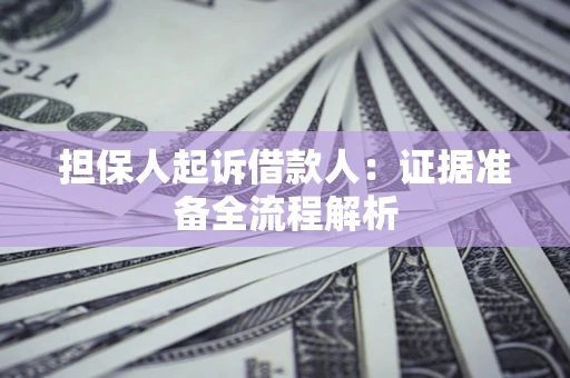 武汉担保人起诉借款人：证据准备全流程解析