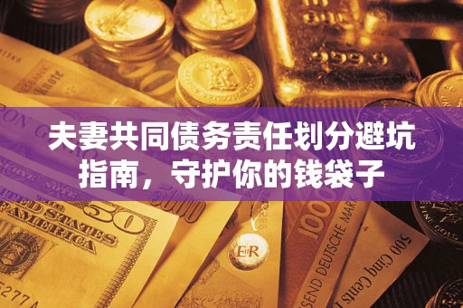 武汉夫妻共同债务责任划分避坑指南，守护你的钱袋子