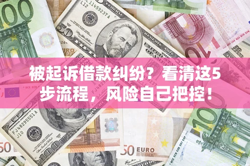 武汉被起诉借款纠纷？看清这5步流程，风险自己把控！