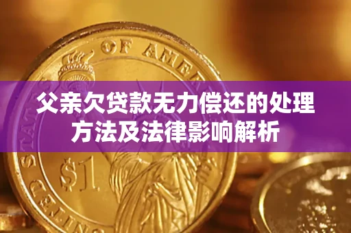 武汉父亲欠贷款无力偿还的处理方法及法律影响解析